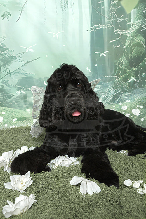 Raffles's Spring Time Style Profile Photo