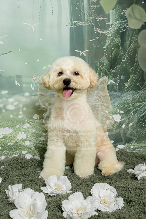 Nugget's Spring Time Style Profile Photo
