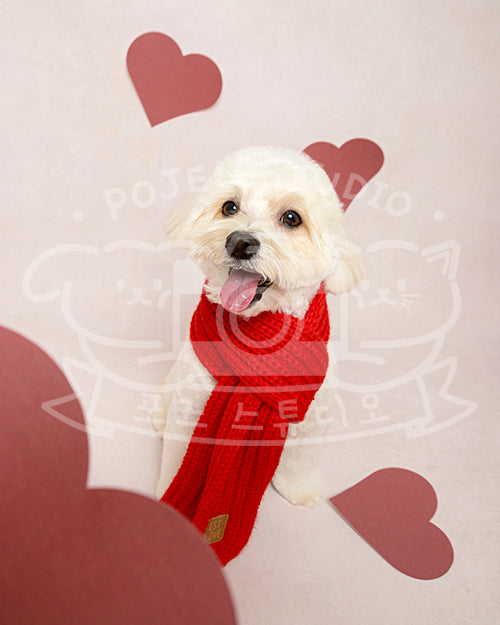 Nugget's Valentine Style Profile Photo