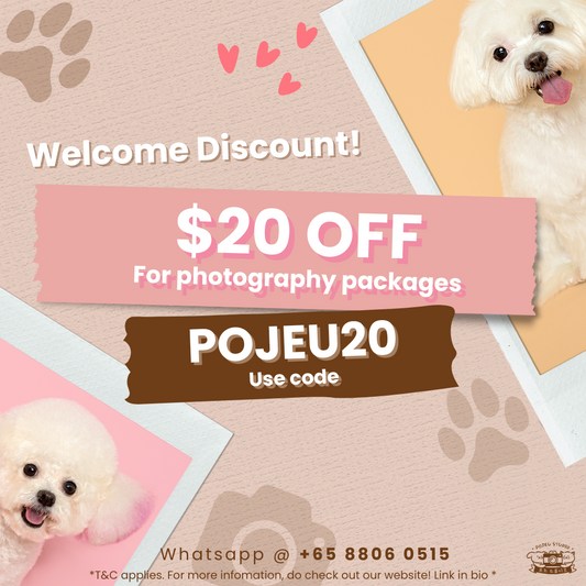 $20 OFF Photo Packages