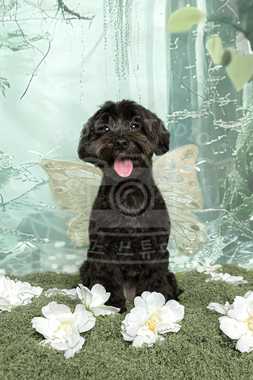 Namu's Spring Time Style Profile Photo