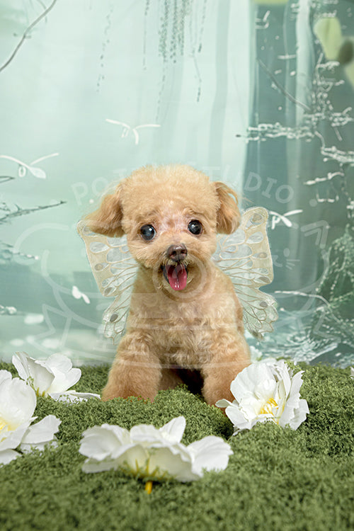 Carrot's Spring Time Style Profile Photo