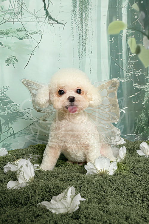 Pikachu's Spring Time Style Profile Photo