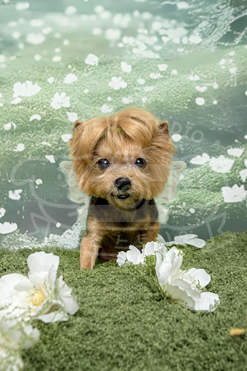 Jingle's Spring Time Style Profile Photo