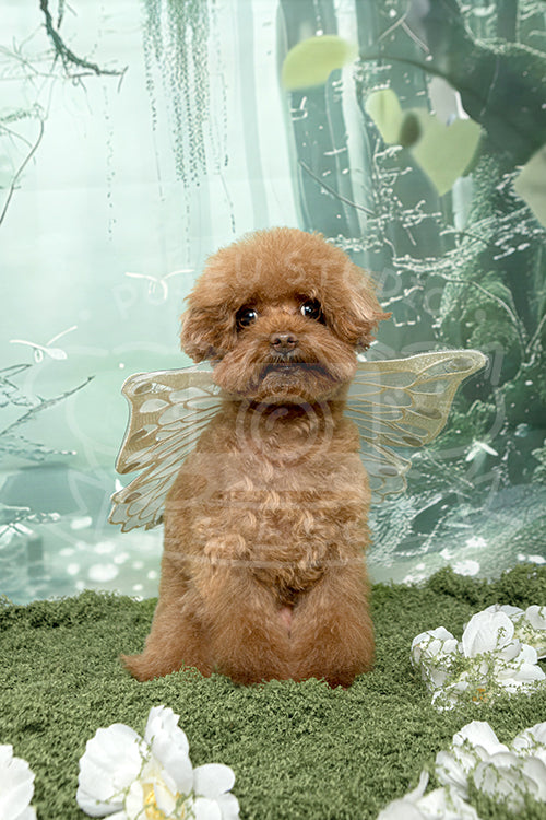 Bacon's Spring Time Style Profile Photo