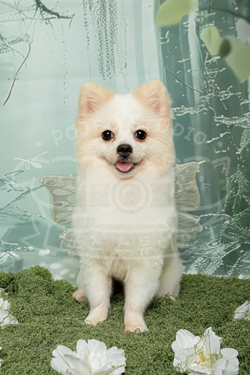 Hervin's Spring Time Style Profile Photo