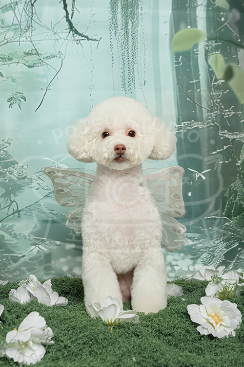Happy's Spring Time Style Profile Photo