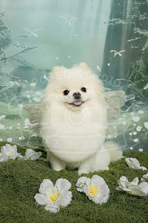Chloe's Spring Time Style Profile Photo