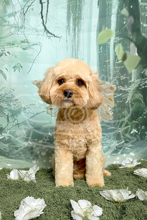 Kiko's Spring Time Style Profile Photo