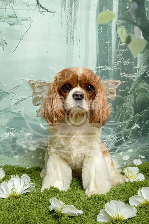 Mellie's Spring Time Style Profile Photo