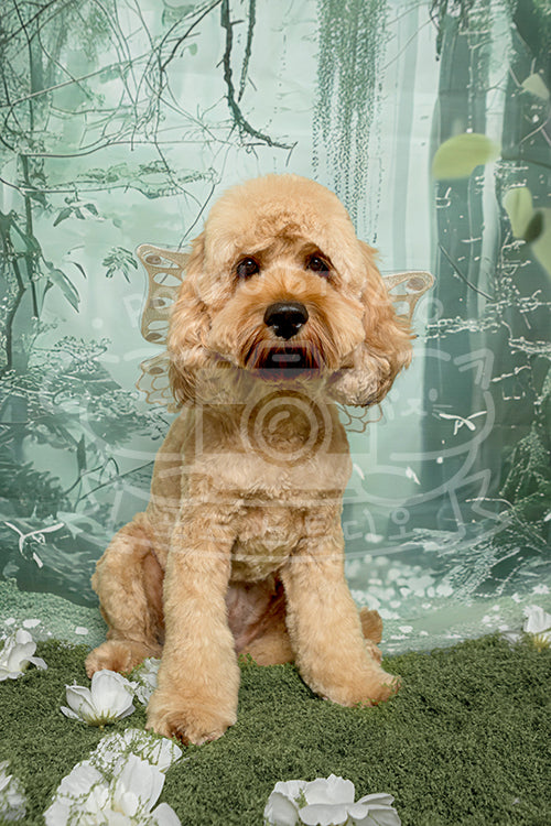 Kimchi's Spring Time Style Profile Photo