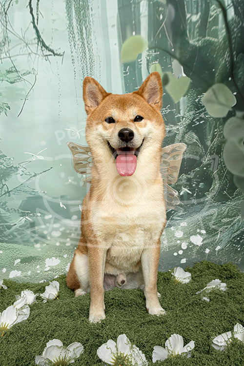 Kylo's Spring Time Style Profile Photo
