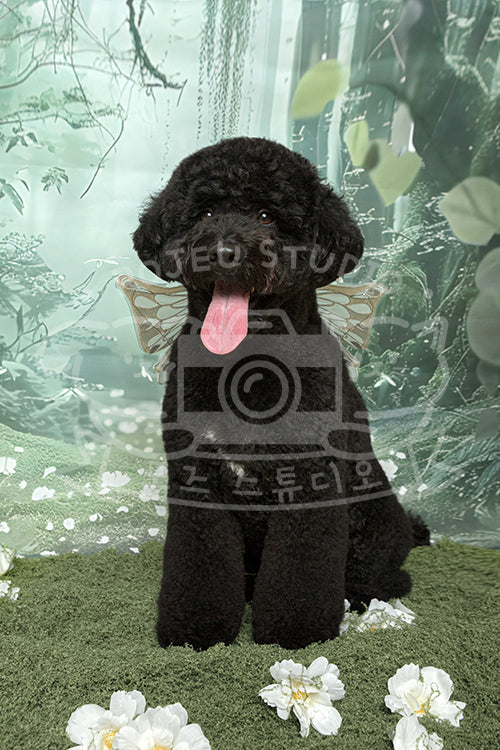 Mia's Spring Time Style Profile Photo