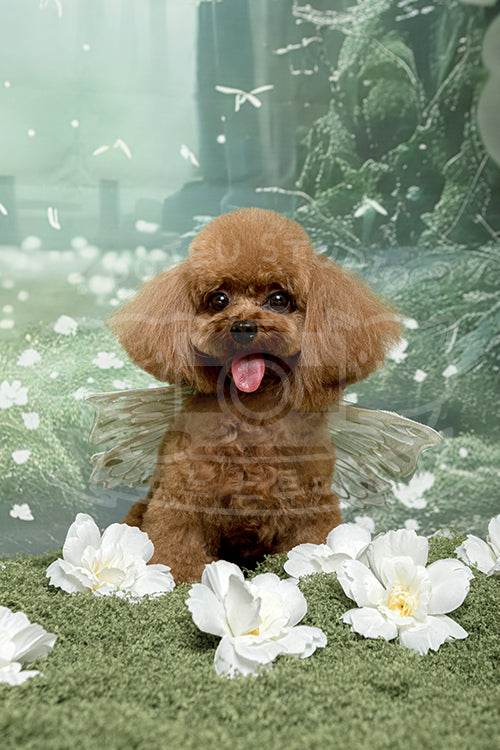 Ba Yi's Spring Time Style Profile Photo