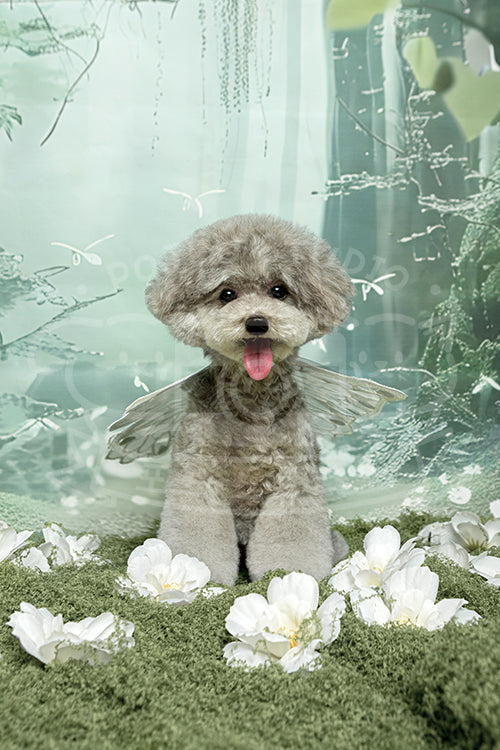 Kiko's Spring Time Style Profile Photo
