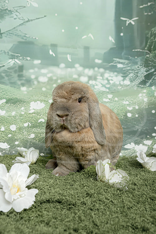 Pablo's Spring Time Style Profile Photo