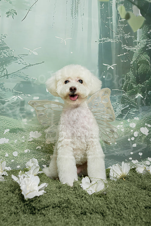 Daisy's Spring Time Style Profile Photo
