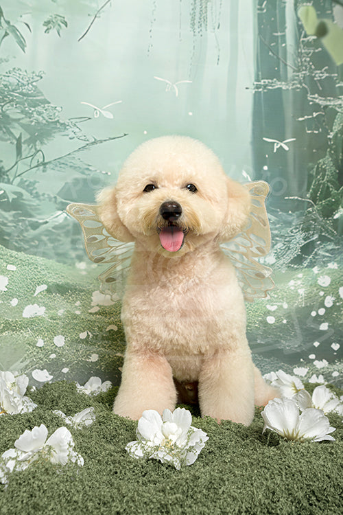 Nugget's Spring Time Style Profile Photo
