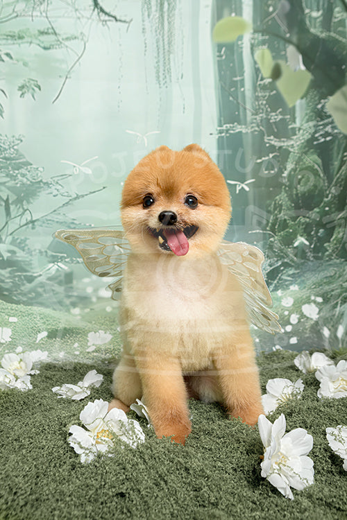 Geppetto's Spring Time Style Profile Photo
