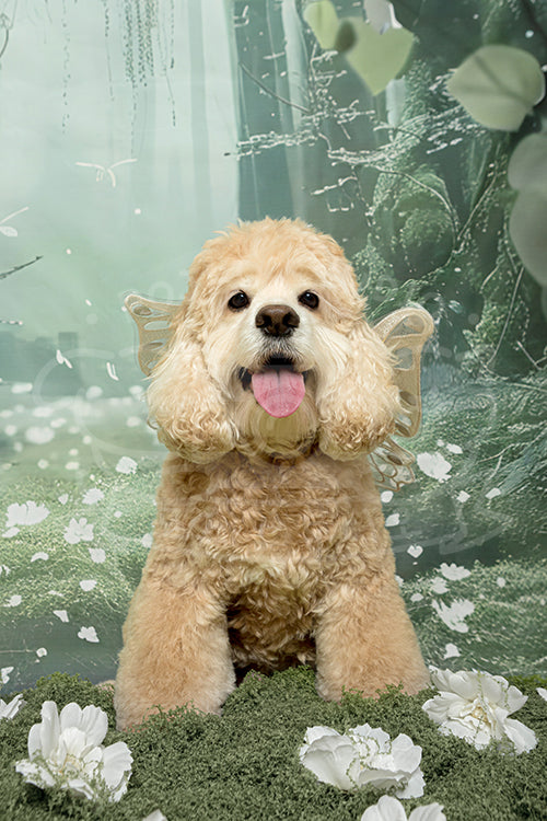 Horlicks's Spring Time Style Profile Photo