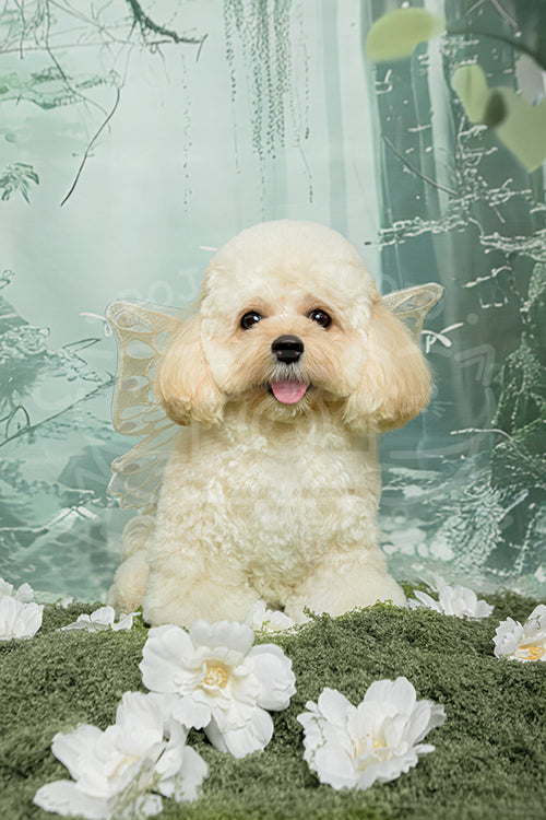 Kirby's Spring Time Style Profile Photo